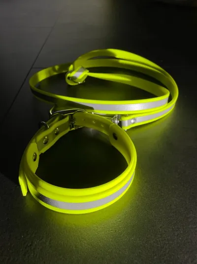 Beautytau bringt die Neon Hundehalsband-Collection. Eine Leuchtkraft, die ins Auge sticht