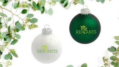 Entdecke die Nachhaltigkeit mit Replants Weihnachtsbäumen
