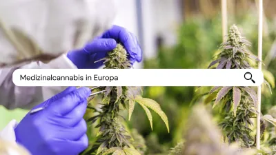 Medizinalcannabis in Europa: Zwischen Chancen, Herausforderungen und Pionierarbeit von Helvezia Pharma & Medical Care AG