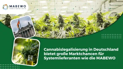 Cannabislegalisierung in Deutschland bietet große Marktchancen für Systemlieferanten wie die MABEWO - Social Clubs benötigen Anbautechnik