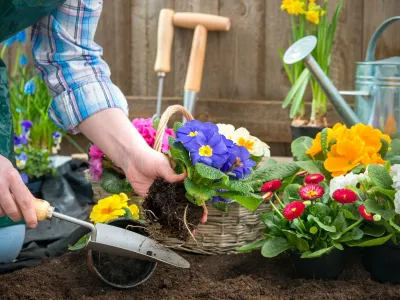 Maximilian Zieseniß: Mit Gartenarbeit vom Alltagsstress erholen