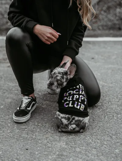 "Dogs Supreme" Funktionale und modische Hundebekleidung