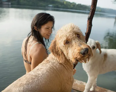 Gesunde BARF Hundefutter Alternative im Urlaub auf Reisen