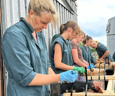 &bdquo;Die Klauen tragen die Milch&ldquo;: Für Tierärzte der Milchviehbetreuung eine herausfordernde Aufgabe