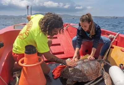 Stiftung Palma Aquarium: Schildkrötenklinik im Urlaubsparadies