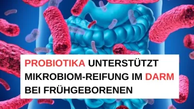 Probiotika unterstützt Mikrobiom-Reifung im Darm bei Frühgeborenen