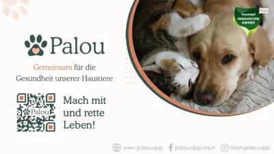 Palou: kostenlose Blutspendersuche für Hunde und Katzen