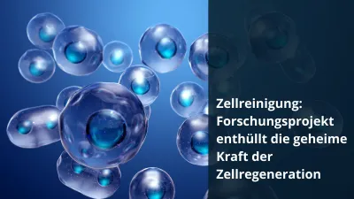 Zellreinigung: Forschungsprojekt enthüllt die geheime Kraft der Zellregeneration