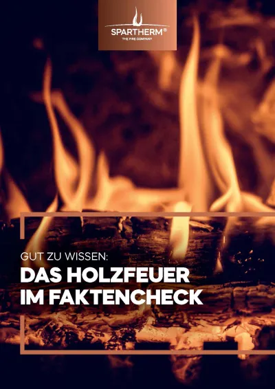 Das Holzfeuer im Faktencheck