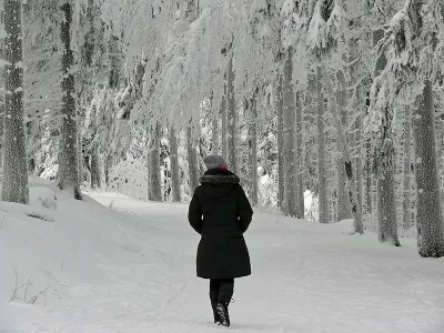 Bei einem Winterspaziergang Achtsamkeit zelebrieren