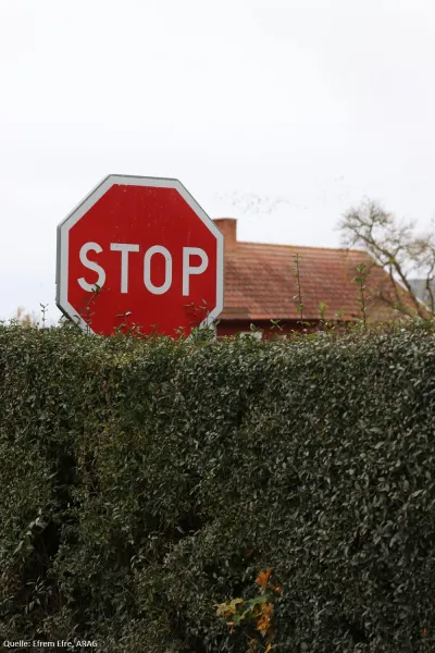 Verkehrsschilder: Liest du noch oder fährst du schon?