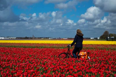 Auszeit an der Küste: In Zandvoorts Natur aktiv den Frühling genießen