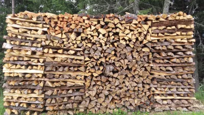 World of Fireplaces: Ökobrennstoff Holz ist ein wichtiges Standbein der Wärmewende