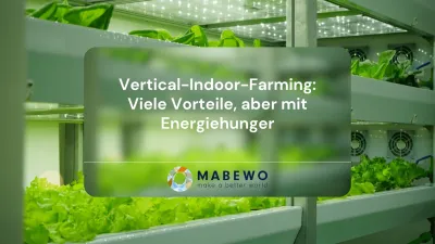 Vertical-Indoor-Farming: Viele Vorteile, aber mit Energiehunger