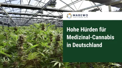 Hohe Hürden für Medizinal-Cannabis in Deutschland
