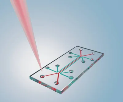 Simulation in der Mikrofluidik