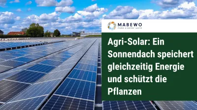 Agri-Solar: Ein Sonnendach speichert gleichzeitig Energie und schützt die Pflanzen
