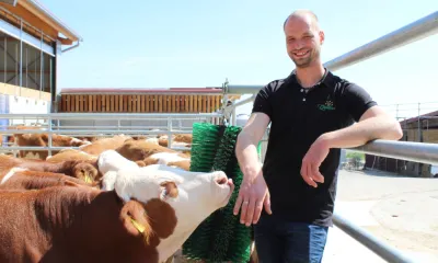 Knuspr setzt neue Maßstäbe und beendet Zusammenarbeit mit Milchmastkalb-Betrieben bei Frischfleisch