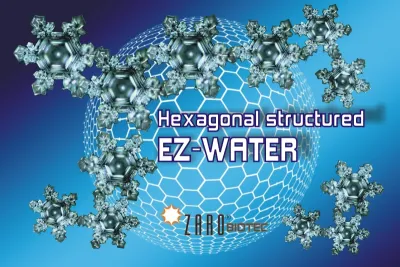 EZ-Water, die Exklusionszone im Wasser und der vierte Aggregatzustand Wassers