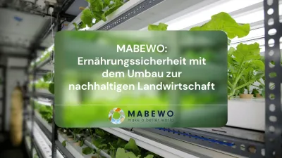 MABEWO: Ernährungssicherheit mit dem Umbau zur nachhaltigen Landwirtschaft