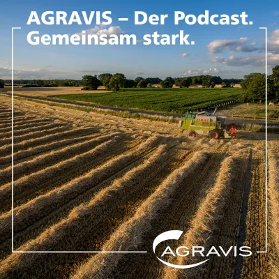 AGRAVIS-Podcast: Getreideernte 2023: Kompakte Markteinschätzung