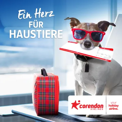 Tierliebe im Fokus: Am 4. und 5. Oktober fliegen Katzen und Hunde bei Corendon Airlines kostenlos mit