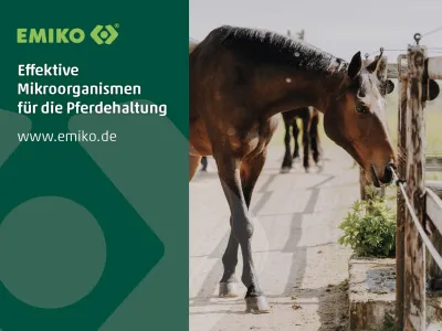 EMIKO stellt neues Kreislauf-Konzept für Pferdebetriebe auf der Fachmesse Pferd & Jagd in Hannover vor
