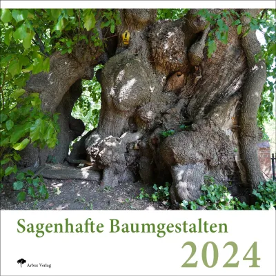 DIE besonderen Baumkalender für 2024: Sagenhafte Baumgestalten & Baumleben - Faszination pur mit ganz besonderen Bäumen aus ganz Deutschland